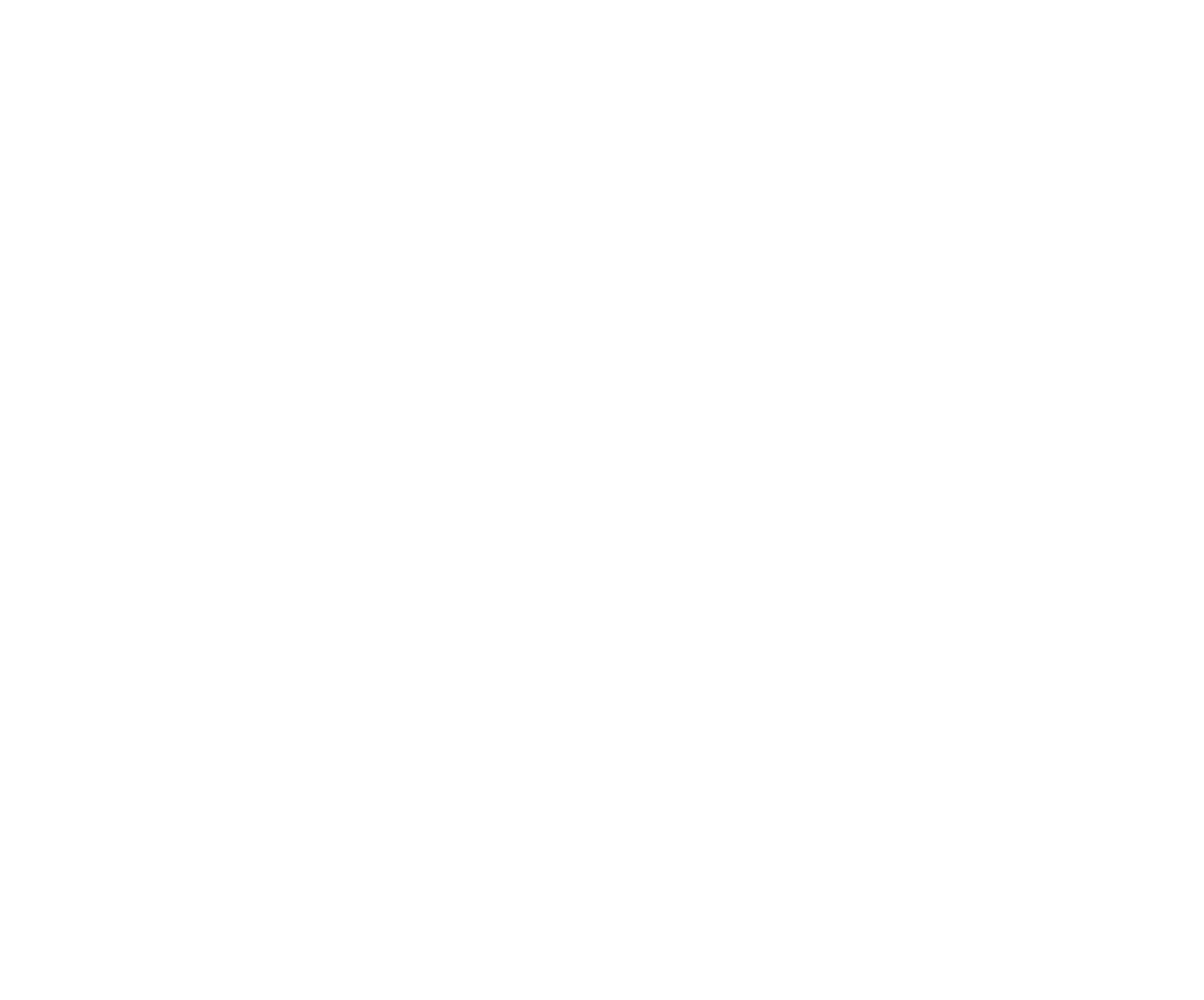 Wireframe mesh
